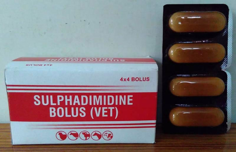 Sulphadimidine Tab x100